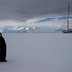 ANTARCTICA FOTO DARIO FERRO COPYRIGHT MIKE HORN (19)